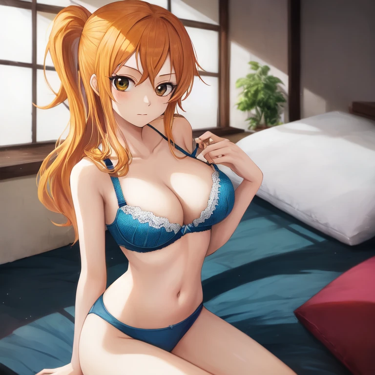 [Holara] Indoor Anime style One Piece Nami Bra [Illustration]